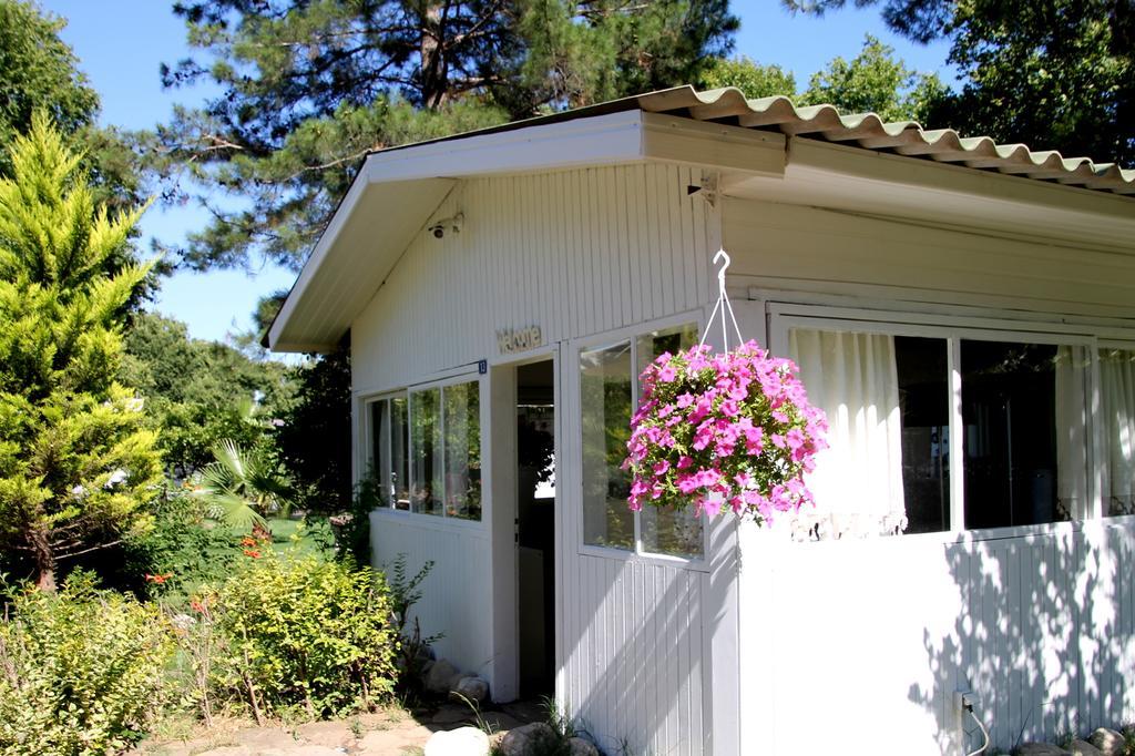 Defne Pension Çıralı Exteriör bild