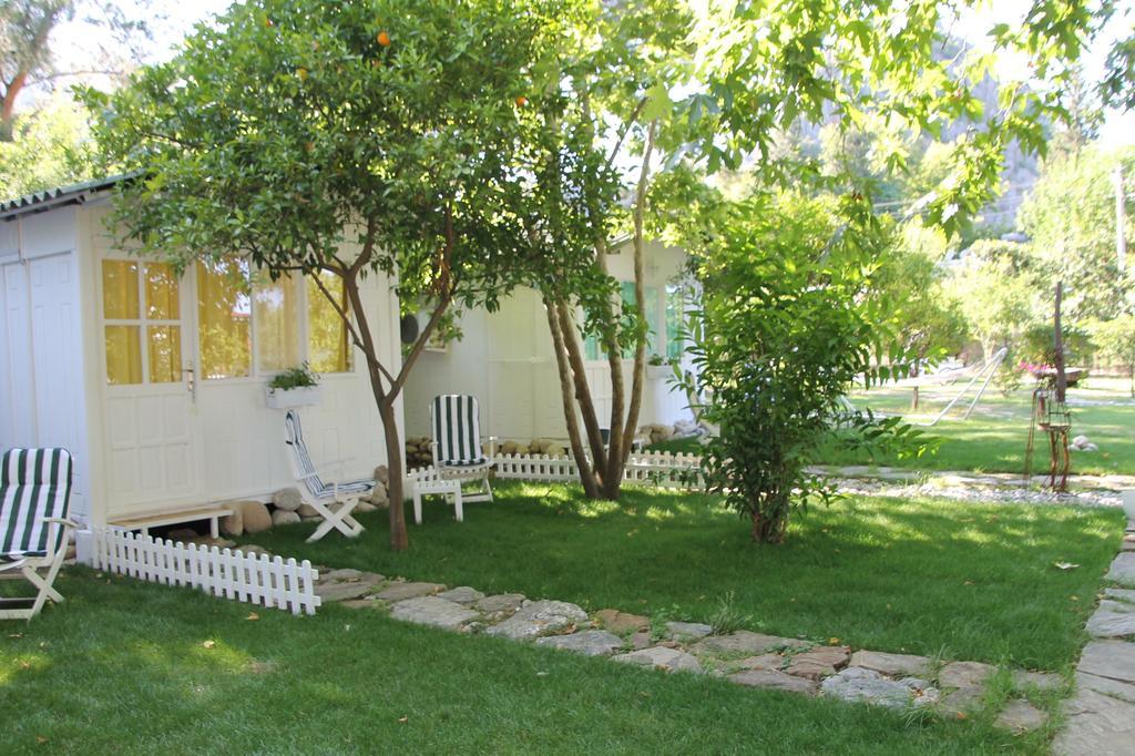 Defne Pension Çıralı Rum bild